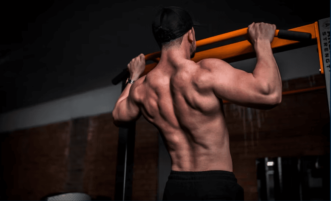 TESTOSTERONE SUPPORT